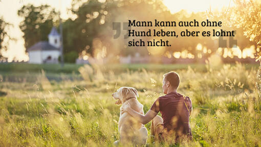 Die besten Hundesprüche & die schönsten Hundezitate!